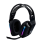 Headset / Mic