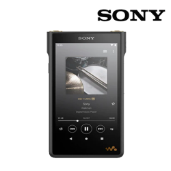 Sony NW-WM1AM2 Walkman (2.4GHz, 128GB Memory, 4.5 hrs Battery, 20-40,000 Hz)