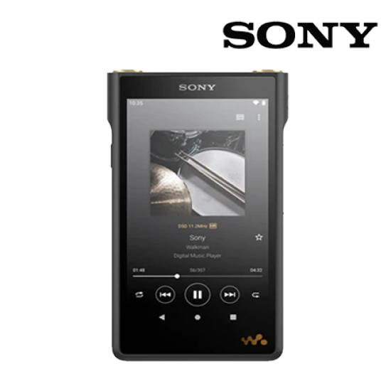 Sony NW-WM1AM2 Walkman (2.4GHz, 128GB Memory, 4.5 hrs Battery, 20-40,000 Hz)