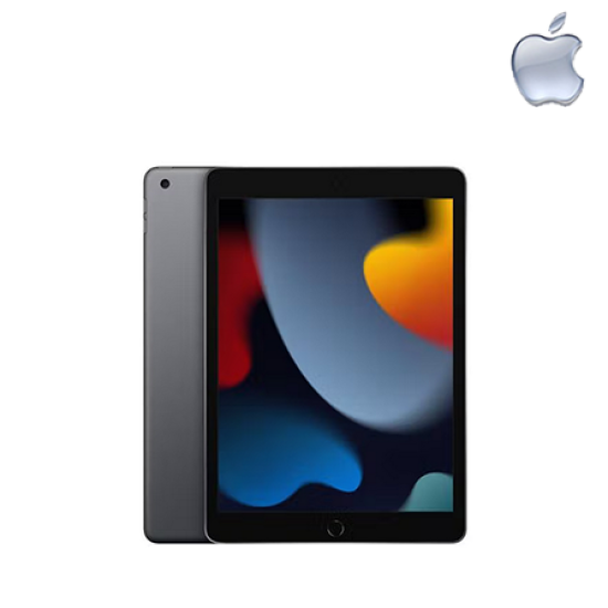 Apple iPad 10.2" Wi-Fi 256GB (MK2N3ZP/A, MK2P3ZP/A) (Retina display, A13, Touch ID, 8MP camera)