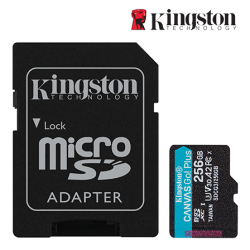 Kingston Canvas Go! Plus SD Card (SDCG3/256GB, 256GB, 170MB/s read, 90MB/s write, exFAT)
