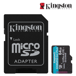 Kingston Canvas Go! Plus SD Card (SDCG3/64GB, 64GB, 170MB/s read, 70MB/s write, exFAT)