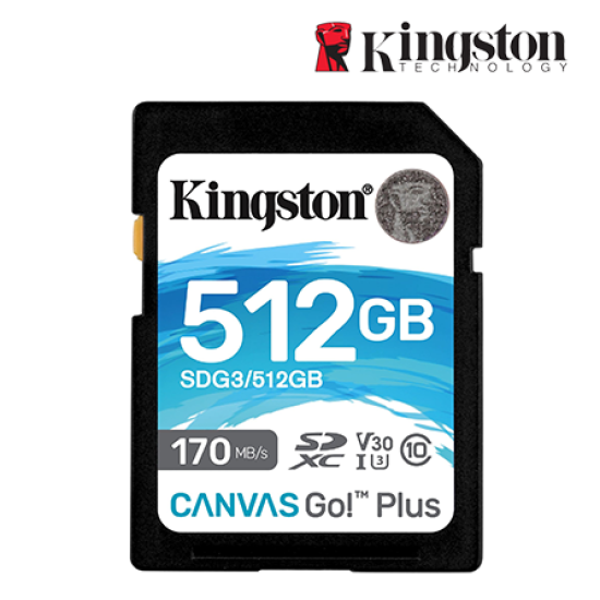 Kingston Canvas Go! Plus SD Card (SDG3/512GB, 512GB, 170MB/s read, 90MB/s write, exFAT)