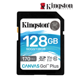 Kingston Canvas Go! Plus SD Card (SDG3/128GB, 128GB, 170MB/s read, 90MB/s write, exFAT)