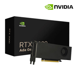 NVIDIA Quadro RTX 2000 Graphics Card (16GB GDDR6, PCI Express 4.0 x 8, Up to 288 GB/s, 192-Bit)