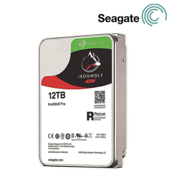 Seagate IRONWOLF PRO 12TB Hub Drive (ST12000NE0008, 12TB of Capacity, SATA, 7200RPM, 256MB Cache)