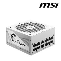 MSI MPG A750GF Gold (White) PSU (750 Watts, 100-240V, Protections OCP, OVP, OPP, OTP, SCP, UVP)