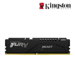 Kingston 16GB FURY Beast Desktop RAM (DDR5 5600MHz, CL36, Black, EXPO, KF556C36BBE-16)