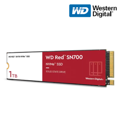 WD Red 1TB SSD (WDS100T1R0C, 1TB, SATA 6 Gb/s, M.2 2280)