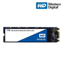 WD Blue M.2 1TB SSD (WDS100T2B0B, 1TB, Leading-edge reliability)