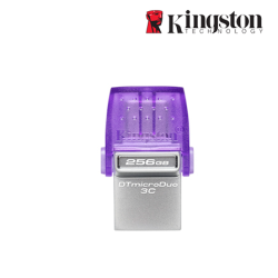 Kingston DataTraveler microDuo 3C 256GB USB Flash Drive (256GB of Capacity, USB 3.2)