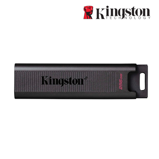 Kingston DataTraveler Max USB-C 1TB USB Flash Drive (1TB of Capacity, USB-Type-C)