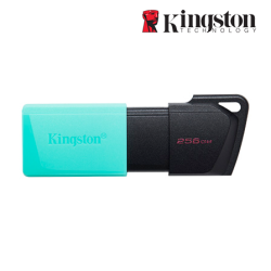 Kingston DataTraveler Exodia M 256GB USB Flash Drive (256GB of Capacity, USB Type-C)