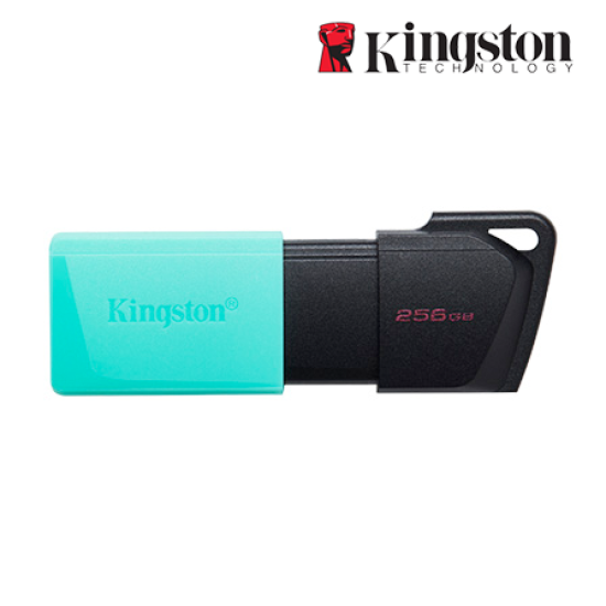 Kingston DataTraveler Exodia M 256GB USB Flash Drive (256GB of Capacity, USB 3.1)