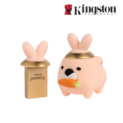 Kingston Chinese New Year 2023 Rabbit Limited Edition 64GB USB Flash Drive (64GB, USB 3.1, Read 100MB/s, Write 10-15MB/s)