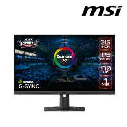 MSI MAG321QR QD 31.5" Gaming Monitor (IPS, 2560 x 1440, 1ms , 350cd/m², 170Hz, HDMI, DP)