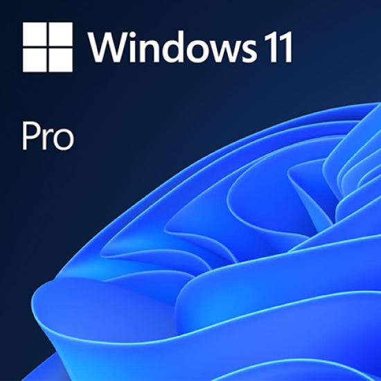 Microsoft Windows 11 Professional